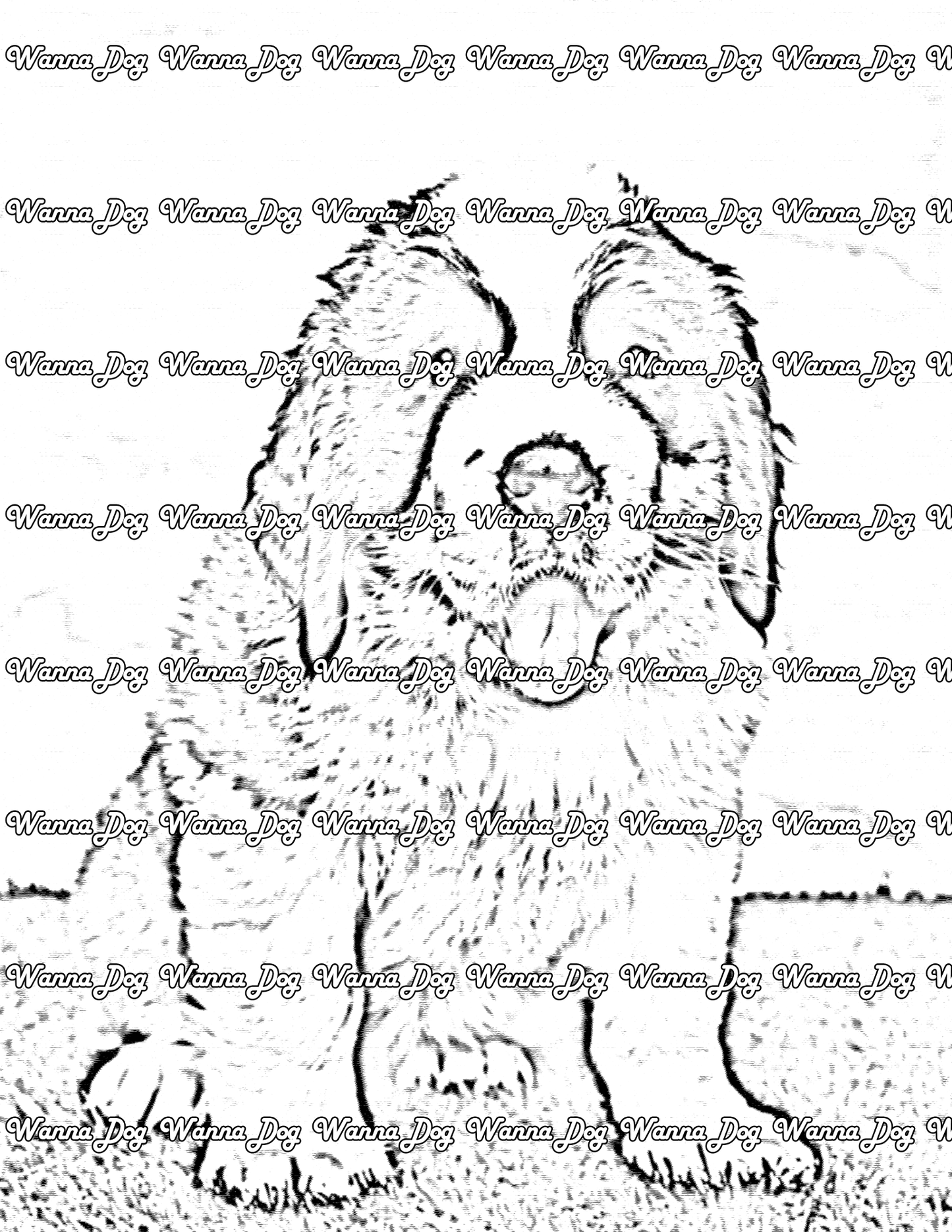 Saint Bernard Coloring Page of a Saint Bernard sitting and posing with their tongue out