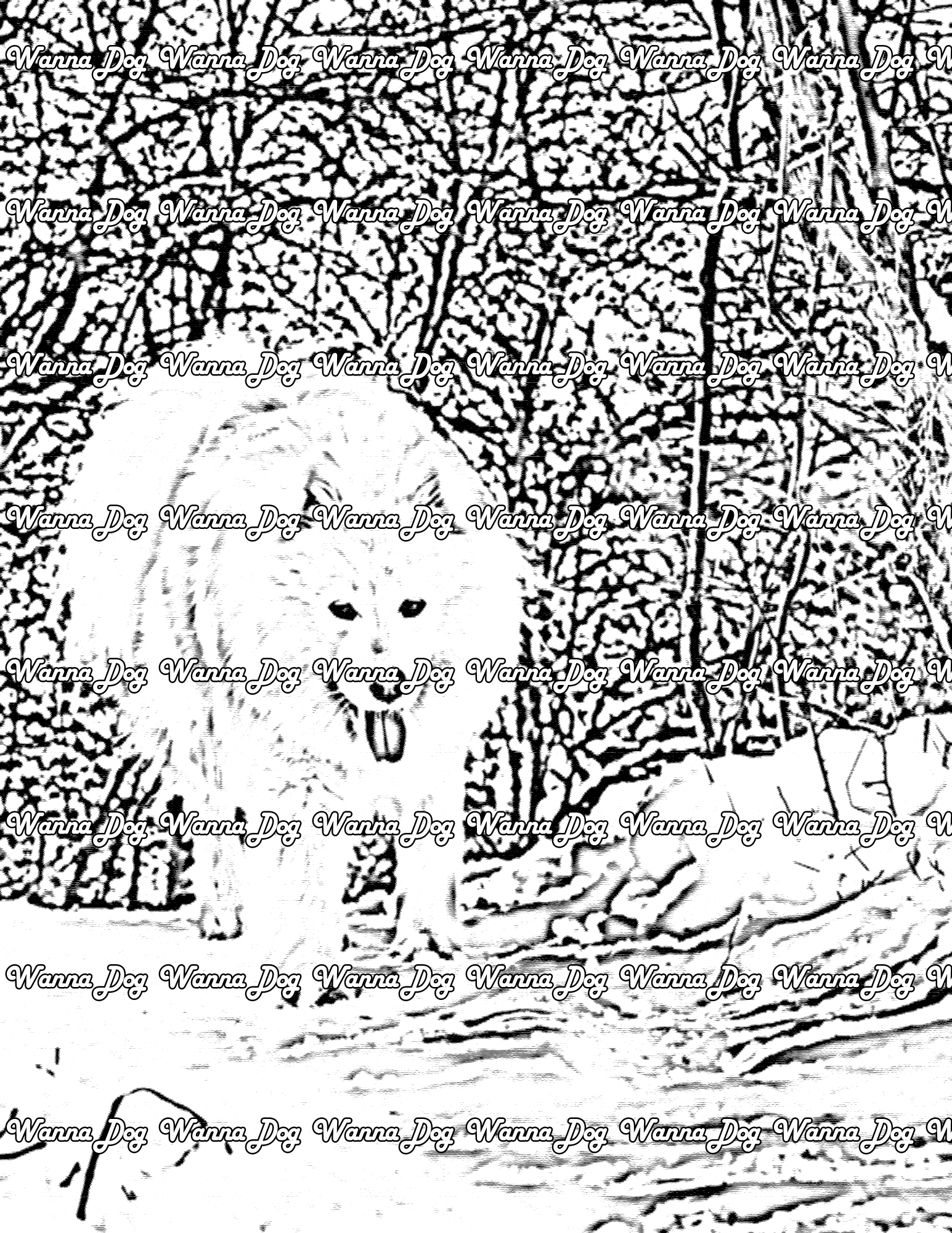 Samoyed Coloring Page of a Samoyed in a forest