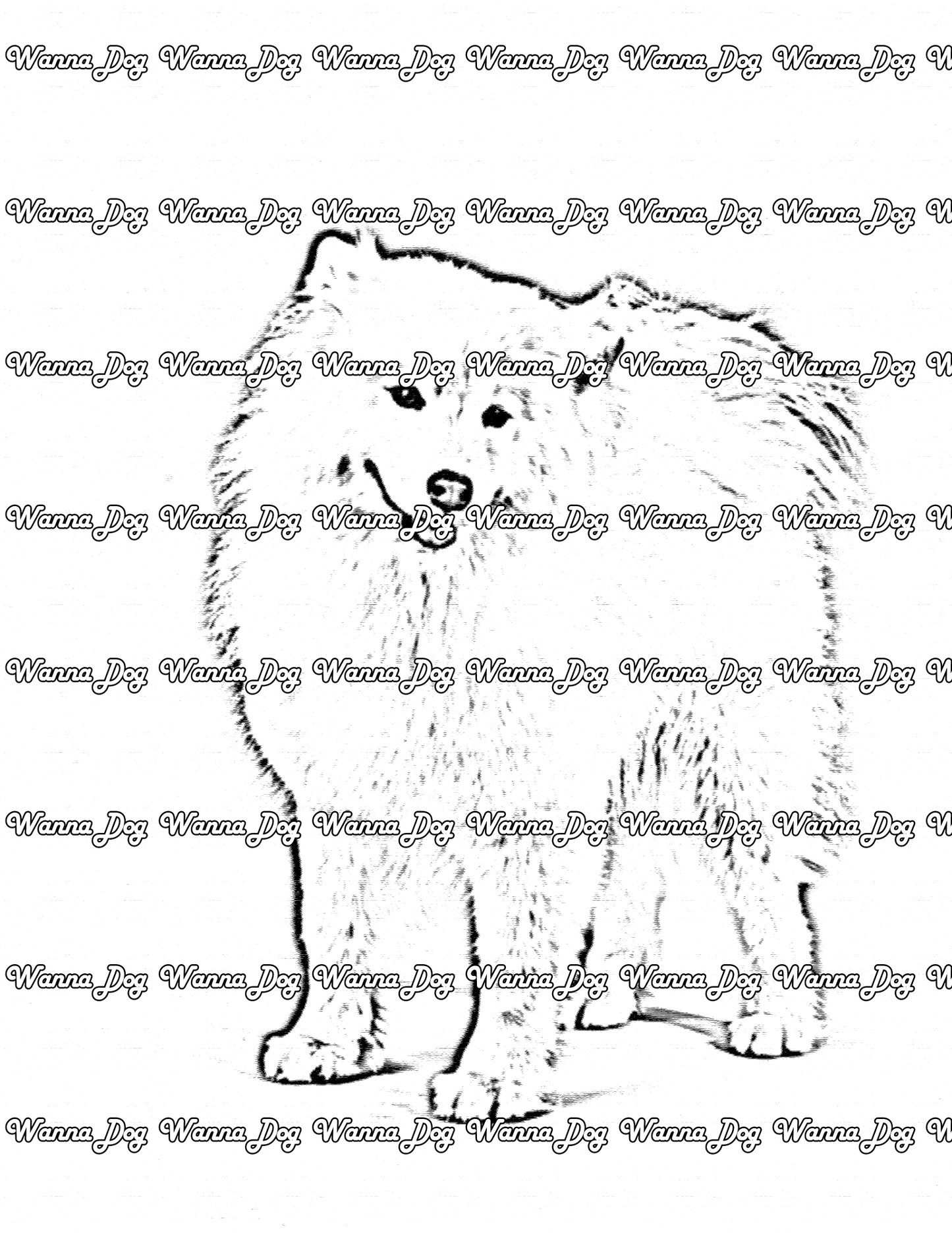 Samoyed Coloring Page of a Samoyed standing and posing