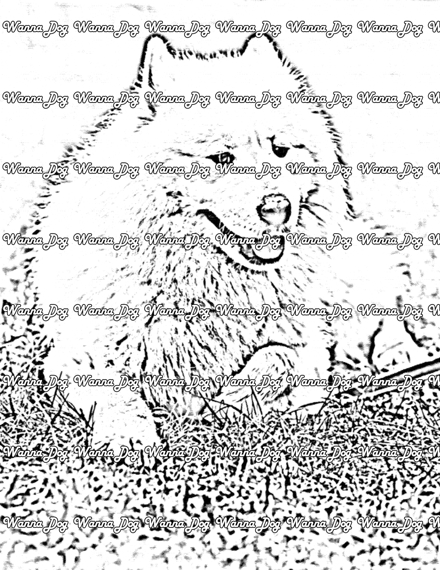 Samoyed Coloring Page of a Samoyed sitting in a park