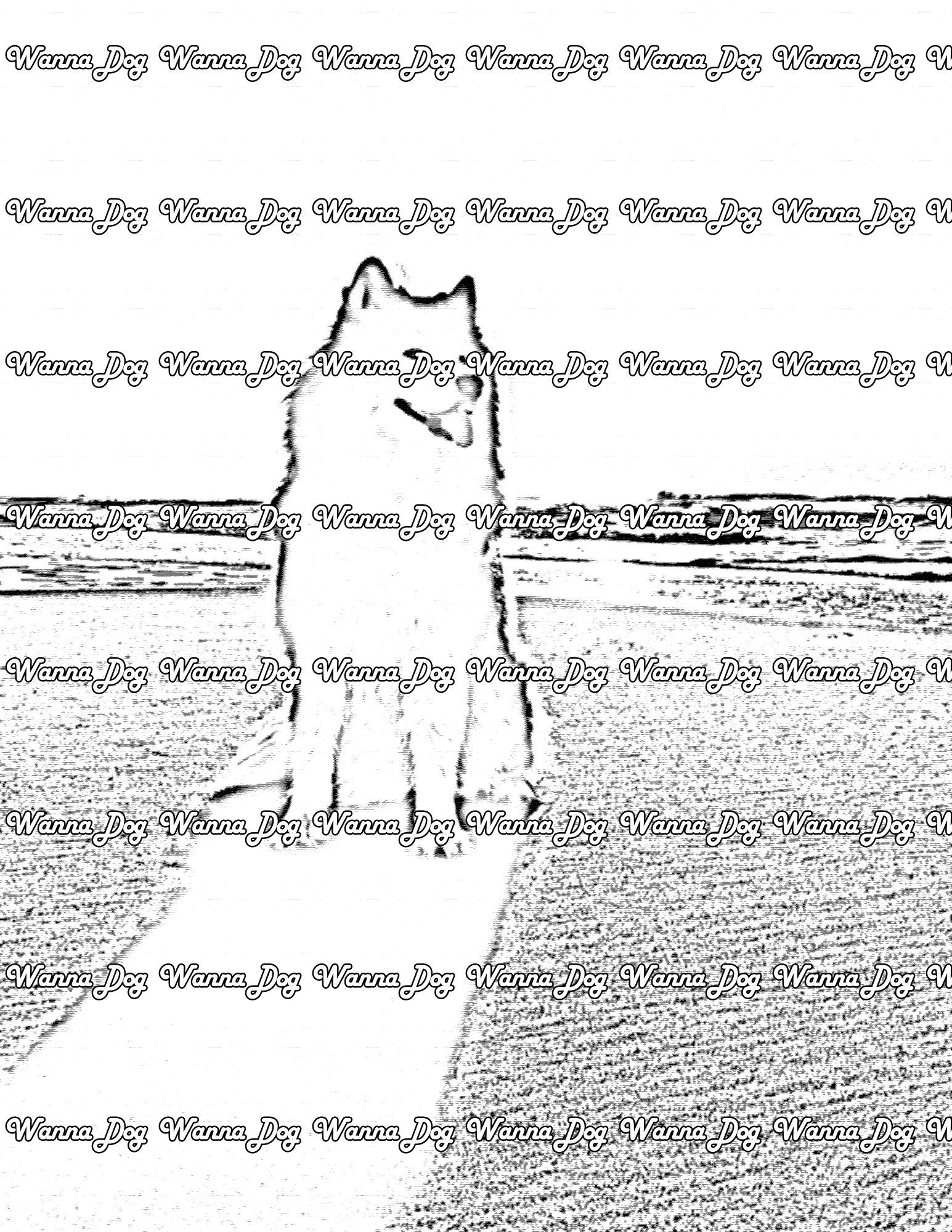 Samoyed Coloring Page of a Samoyed siting on the beach against the sun