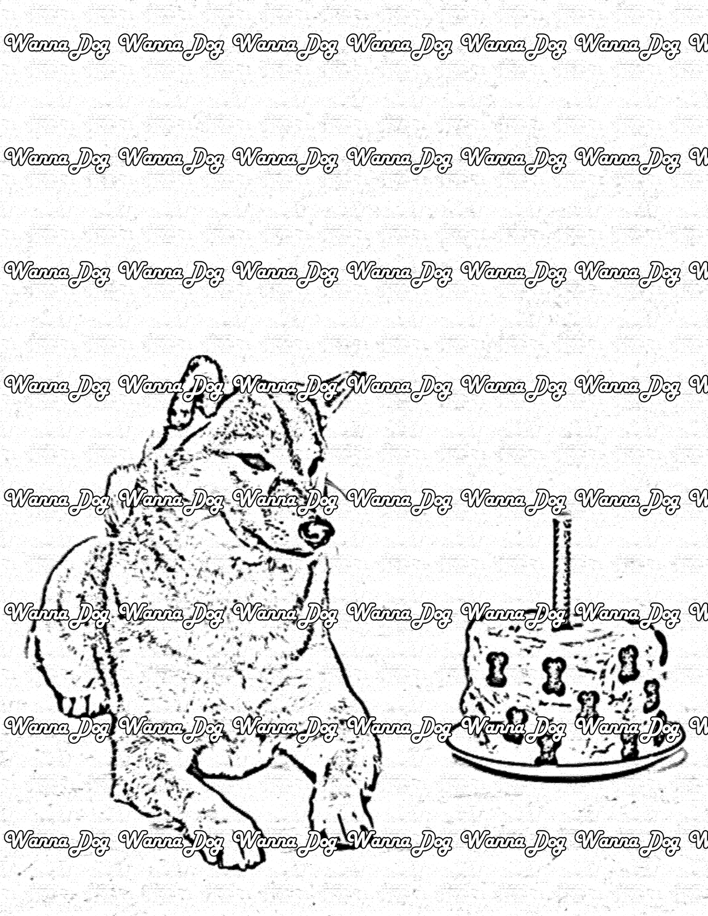 Shiba Inu Coloring Page of a Shiba Inu with a birthday cake