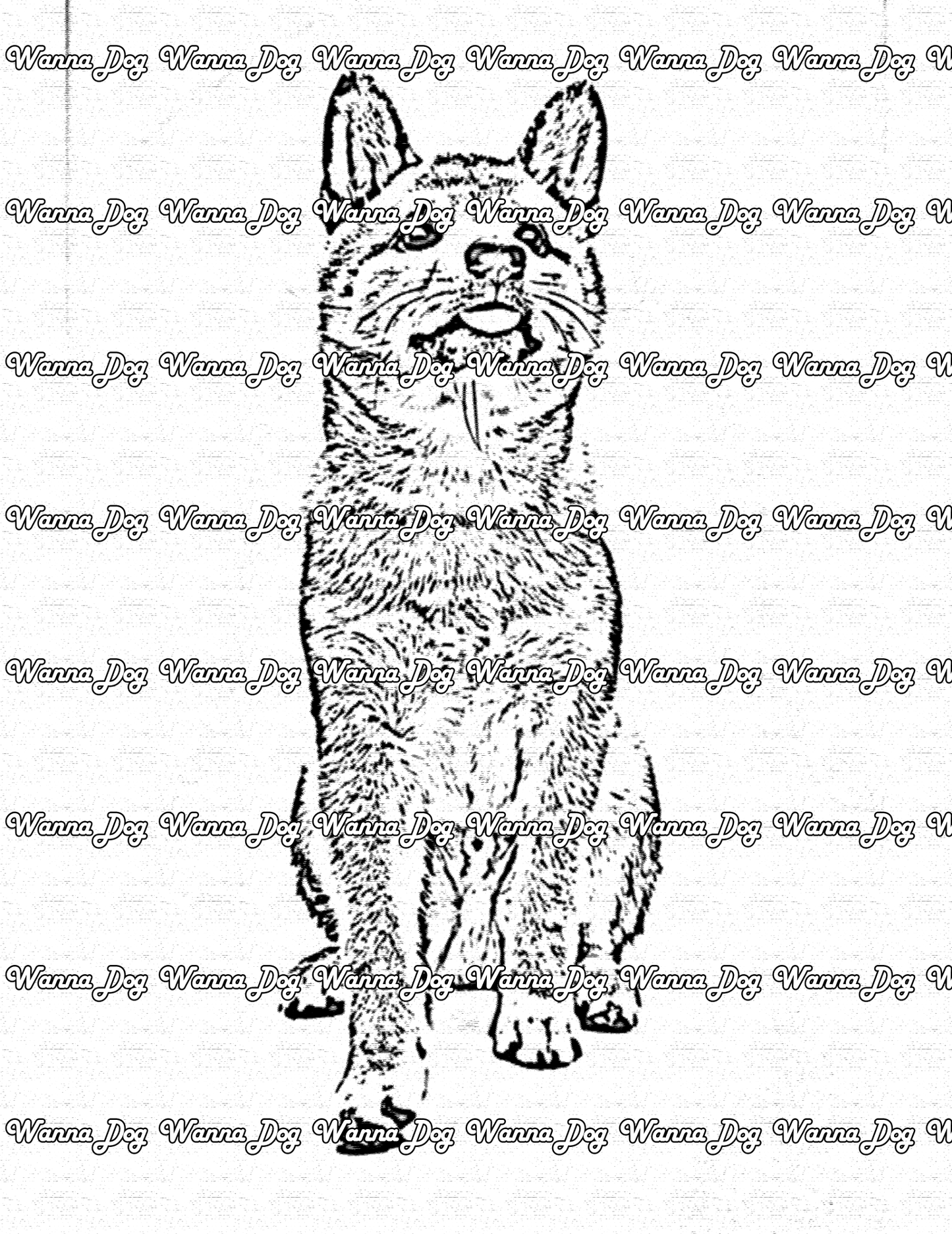 Shiba Inu Coloring Page of a Shiba Inu sitting looking up