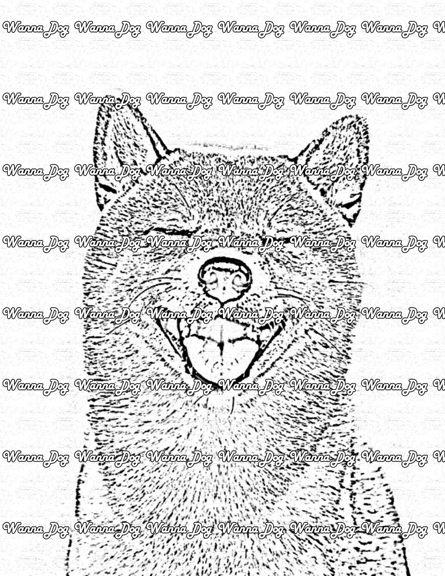 Shiba Inu Coloring Page of a Shiba Inu close up and smiling