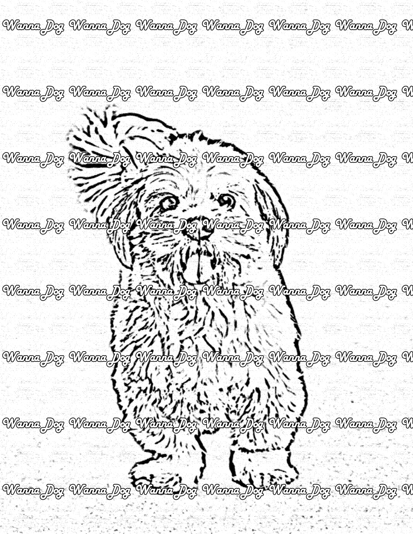Shih Tzu Coloring Page of a Shih Tzu posing with their tongue out
