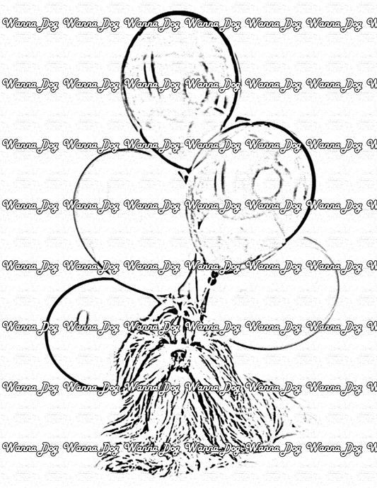 Shih Tzu Coloring Page of a Shih Tzu with balloons