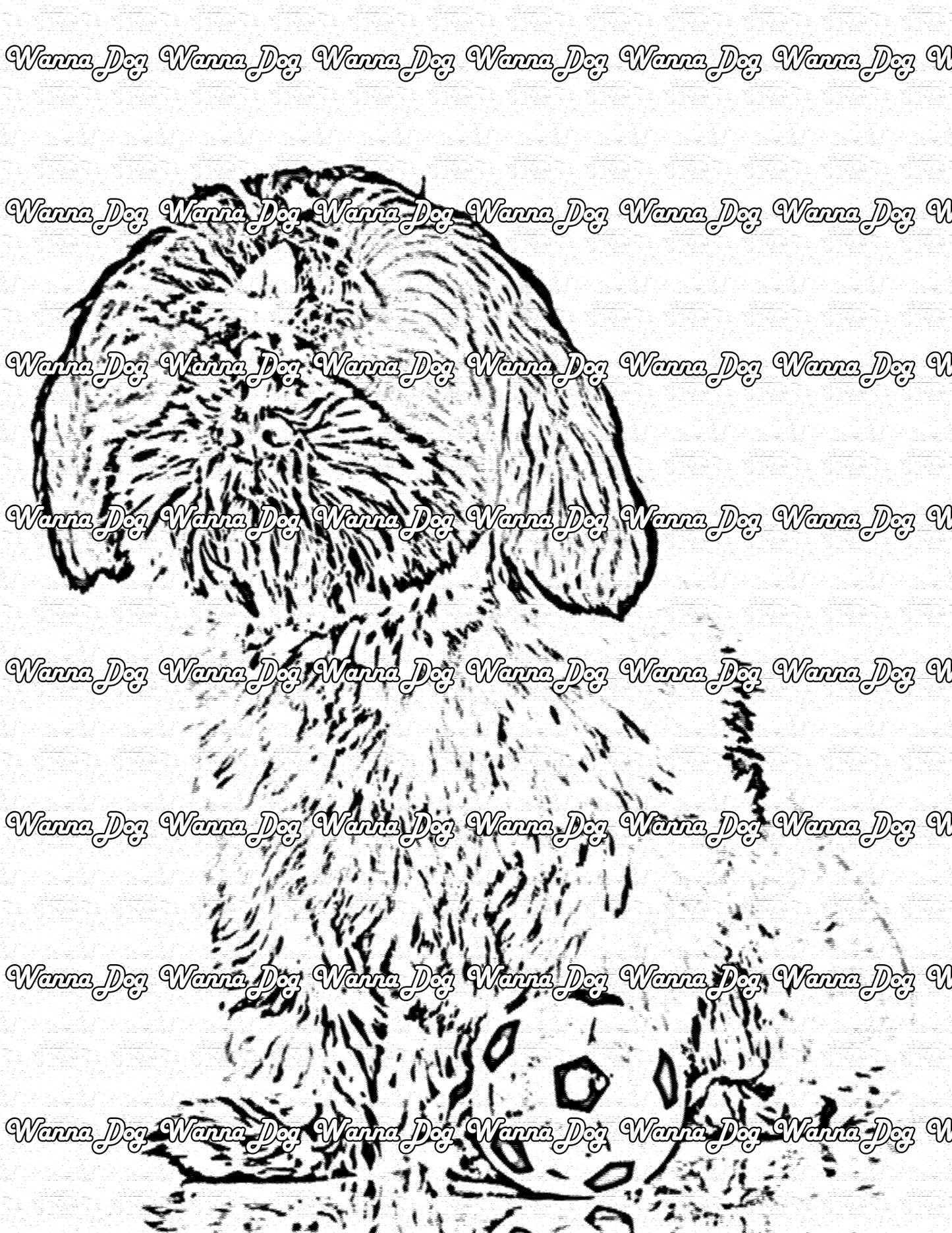 Shih Tzu Coloring Page of a Shih Tzu with a soccer ball