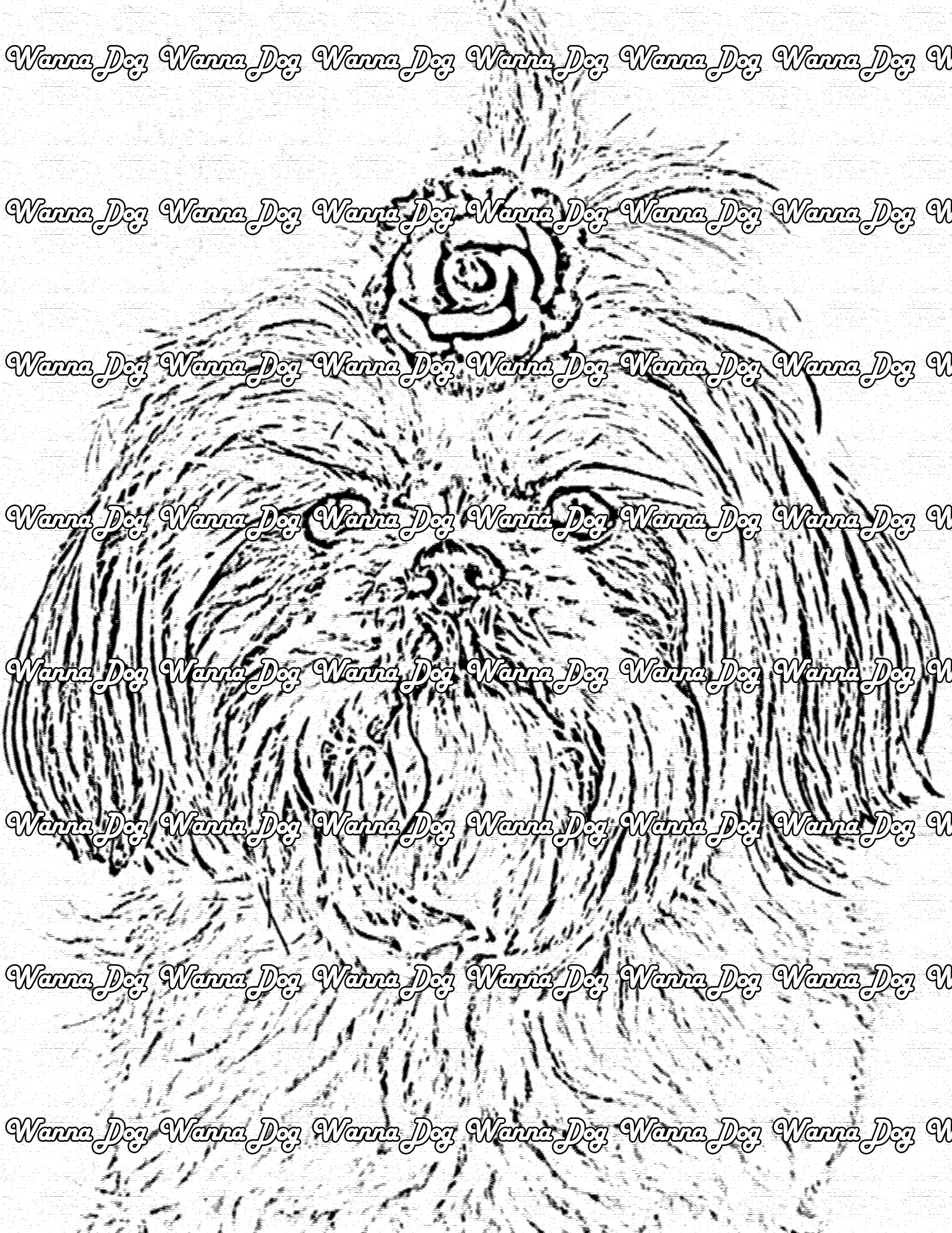 Shih Tzu Coloring Page of a Shih Tzu with a flower on their head