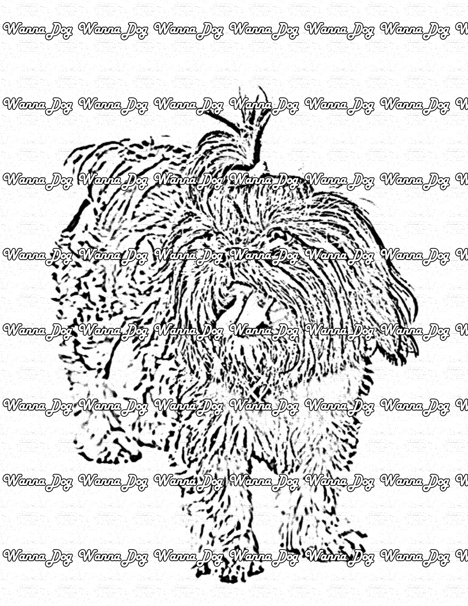 Shih Tzu Coloring Page of a Shih Tzu standing with their tongue out