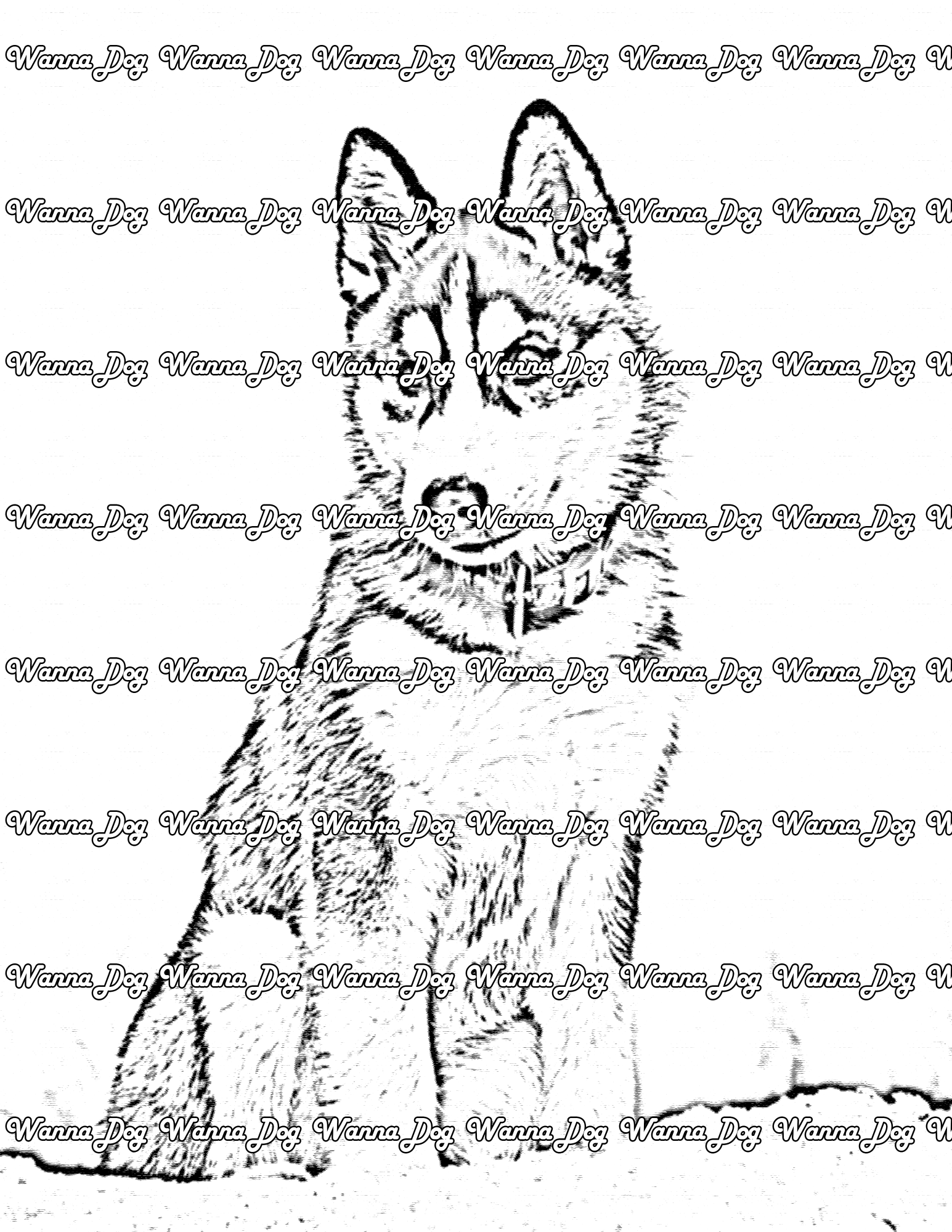 Siberian Husky Coloring Page of a Siberian Husky sitting in the snow