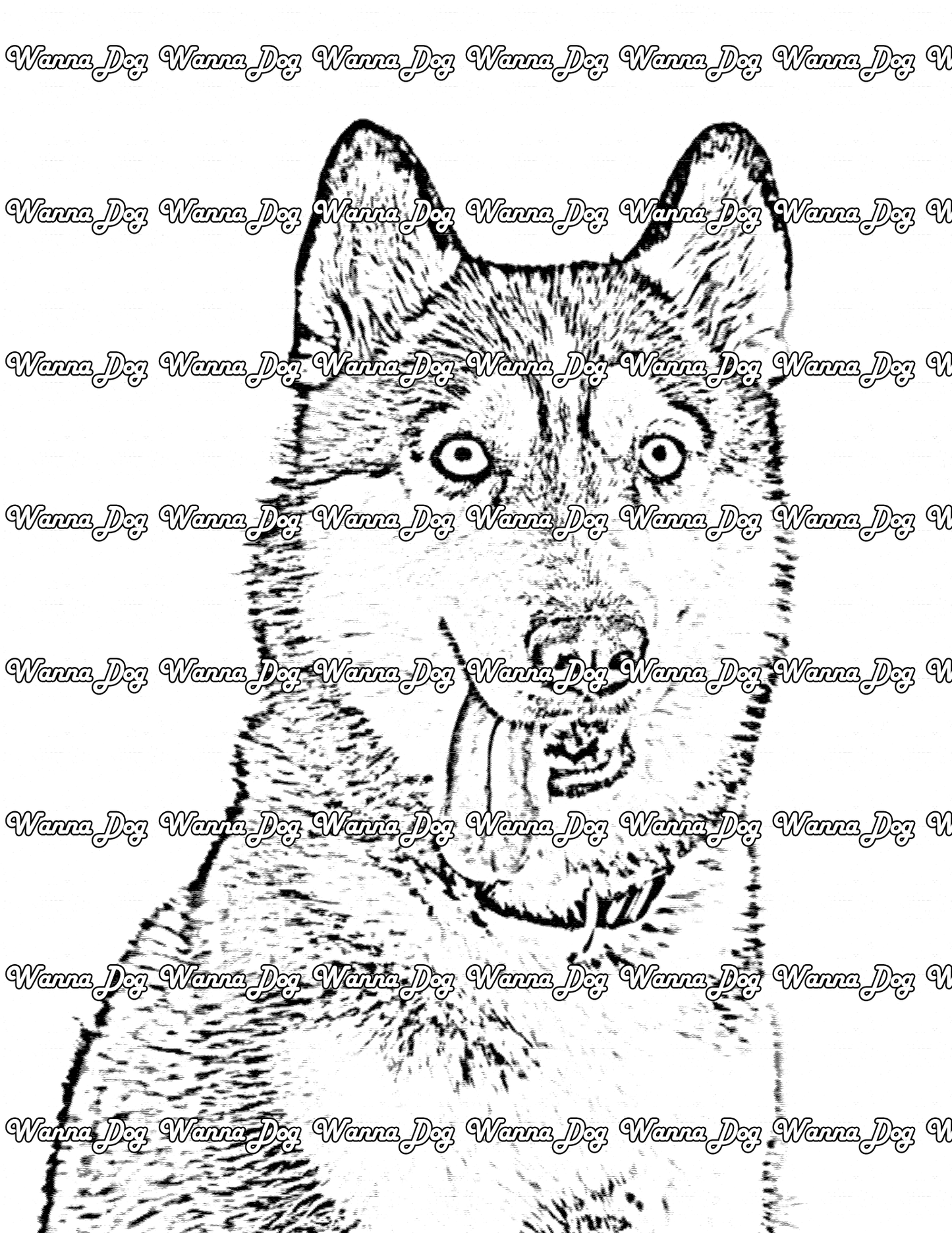 Siberian Husky Coloring Page of a Siberian Husky with their tongue out and sitting