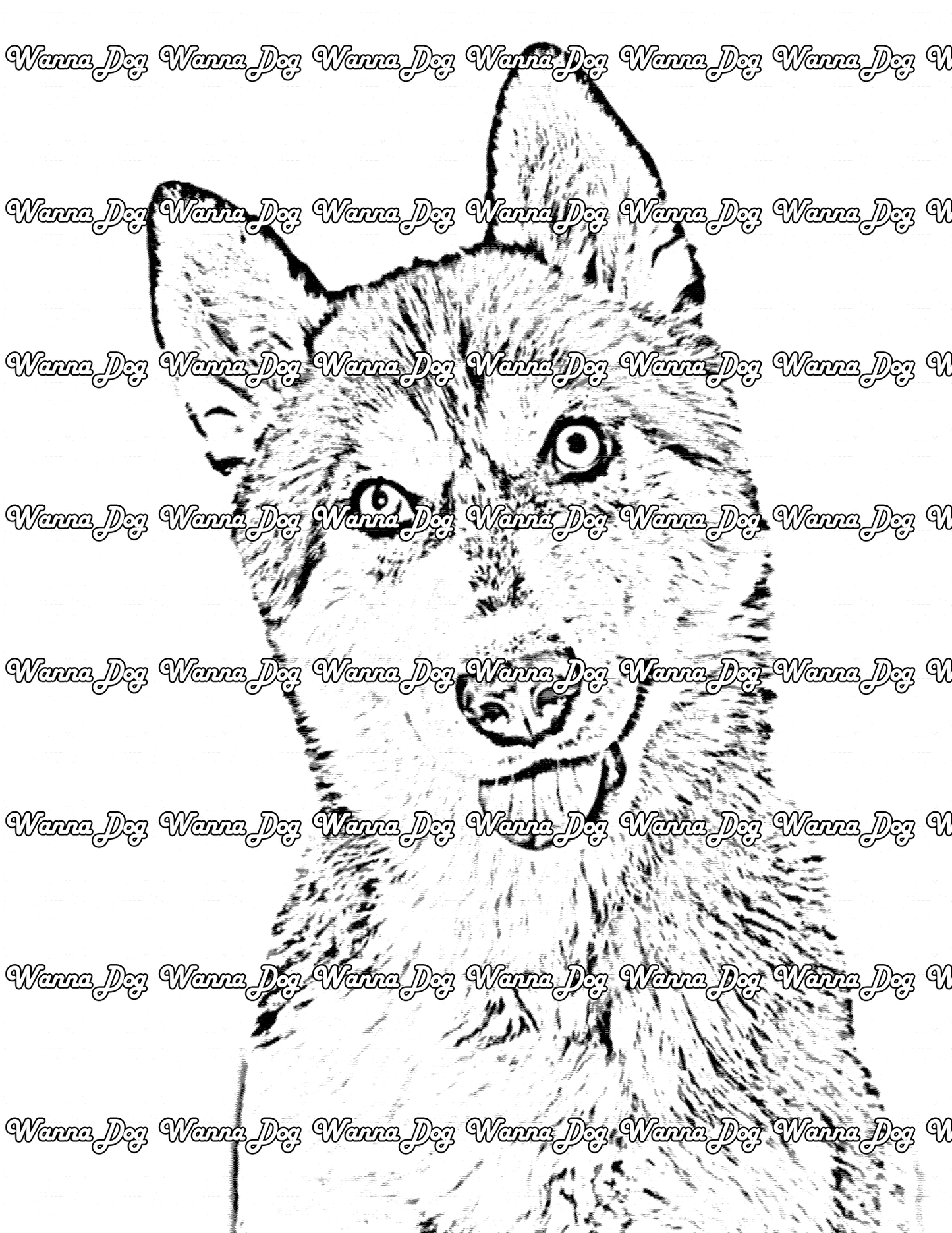 Siberian Husky Coloring Page of a Siberian Husky with their head tilted