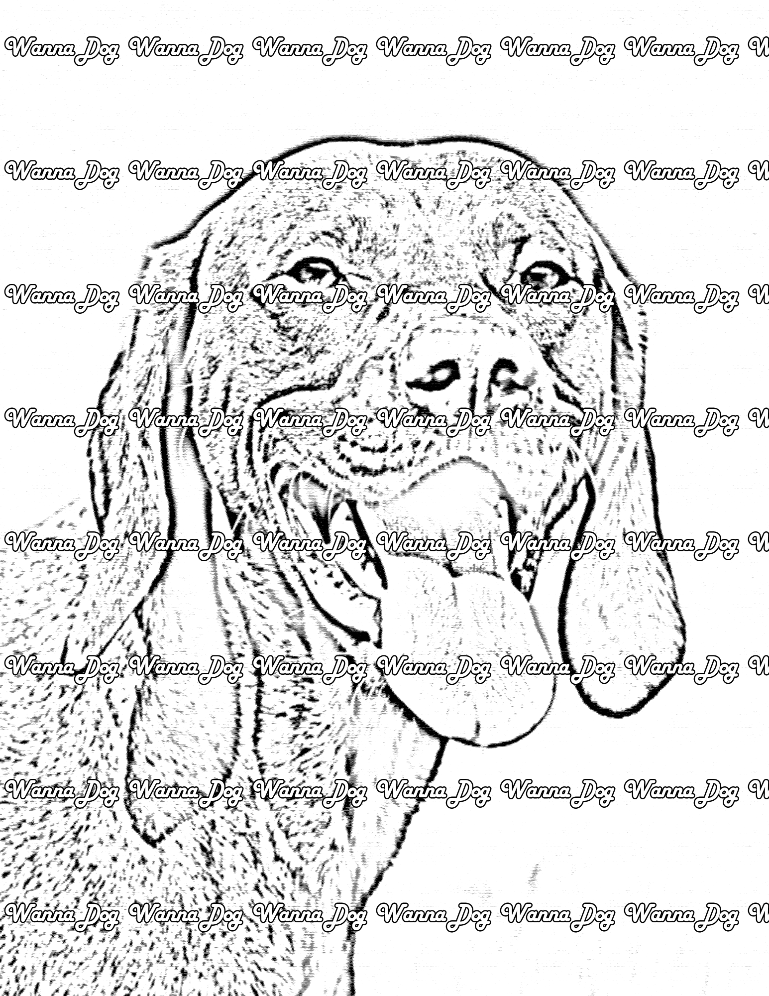 Vizsla Coloring Page of a Vizsla headshot with their tongue out