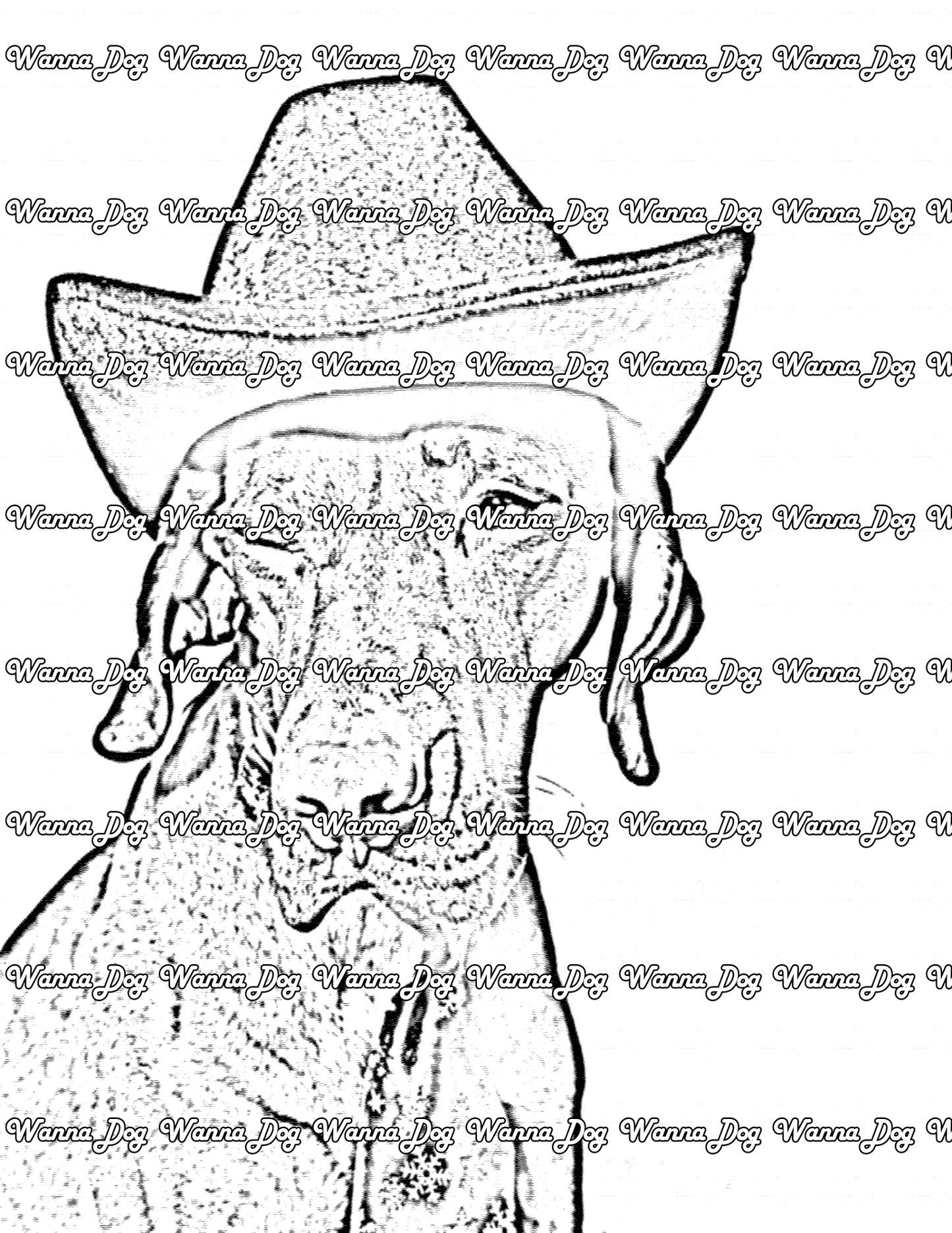 Vizsla Coloring Page of a Vizsla wearing a cowboy hat