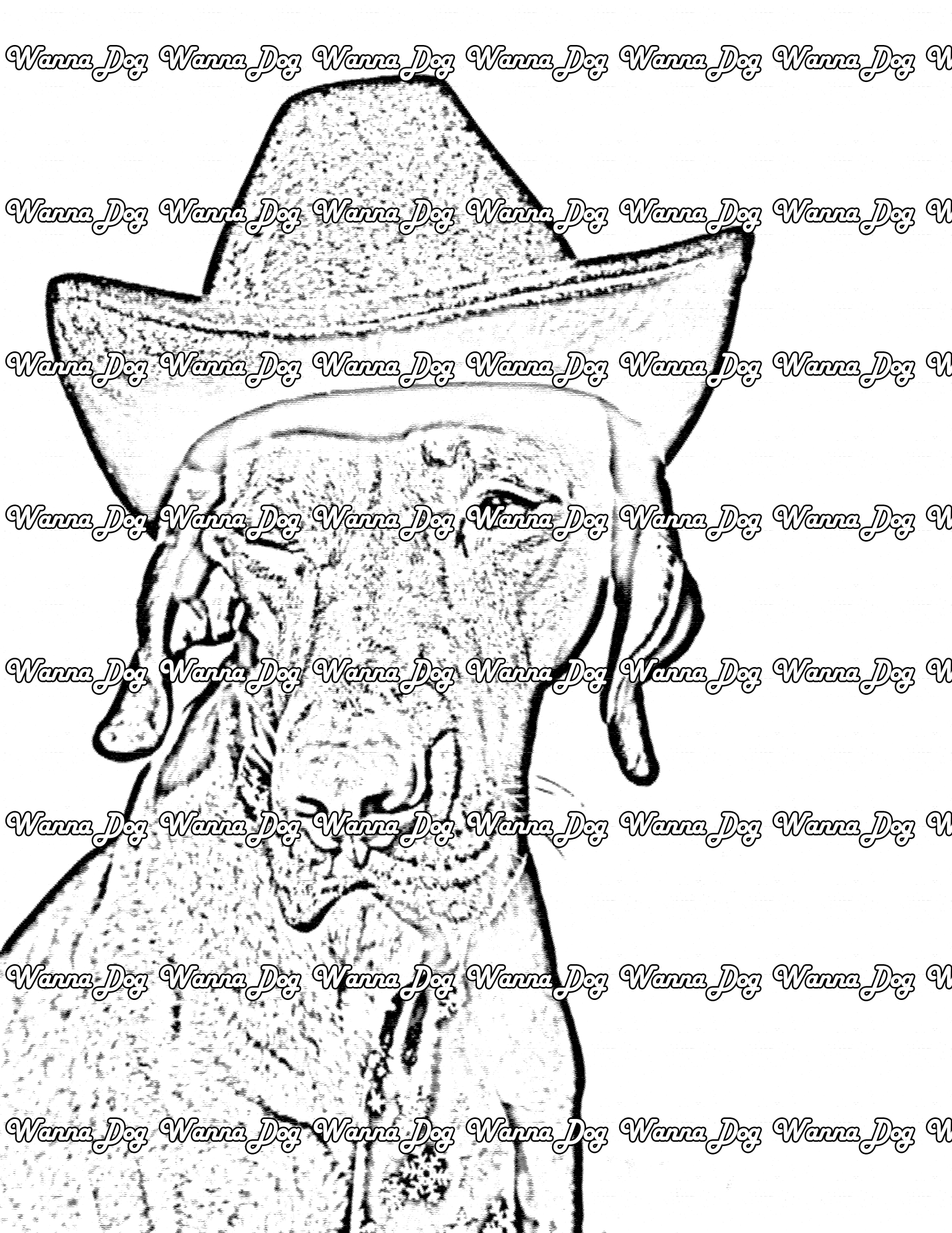 Vizsla Coloring Page of a Vizsla wearing a cowboy hat