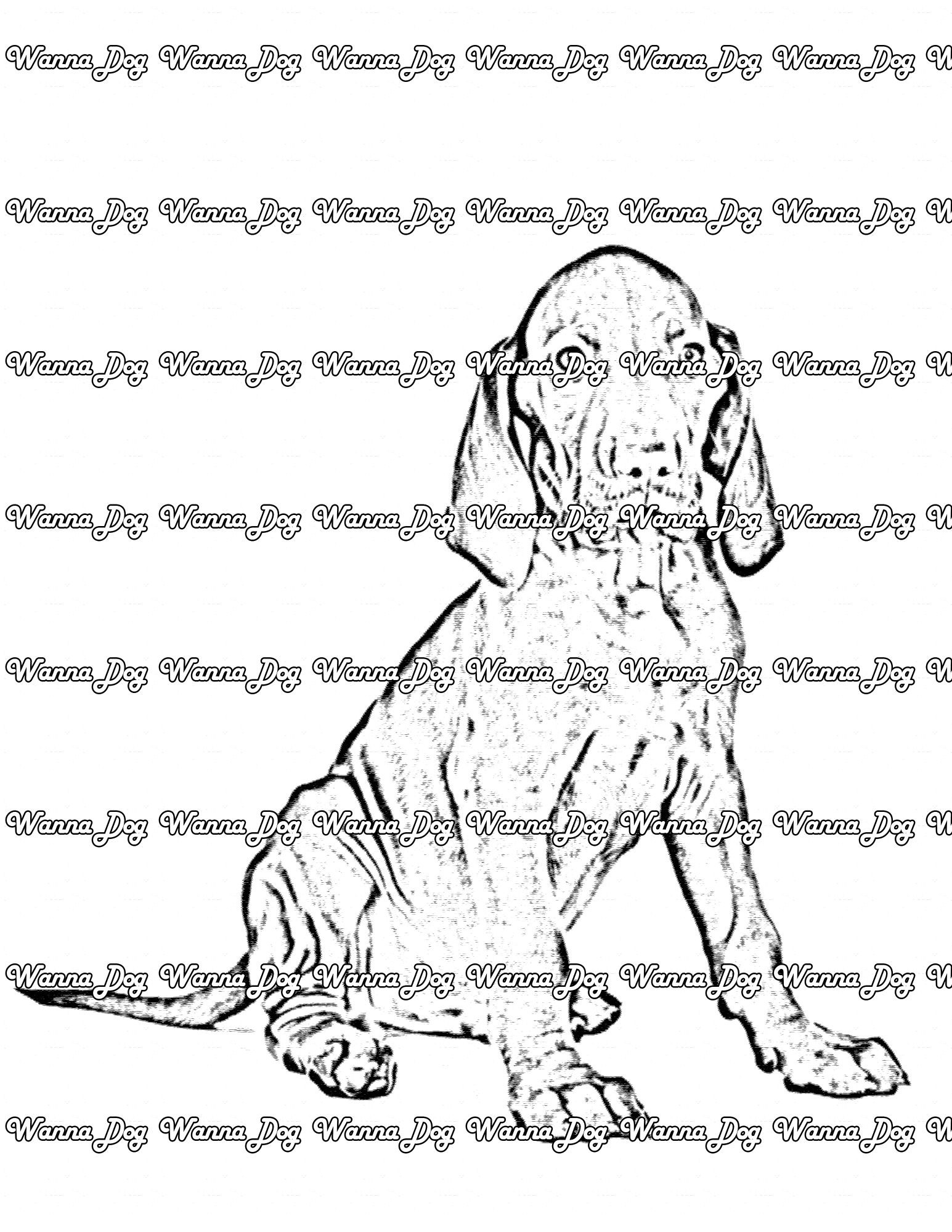 Vizsla Coloring Page of a Vizsla puppy sitting