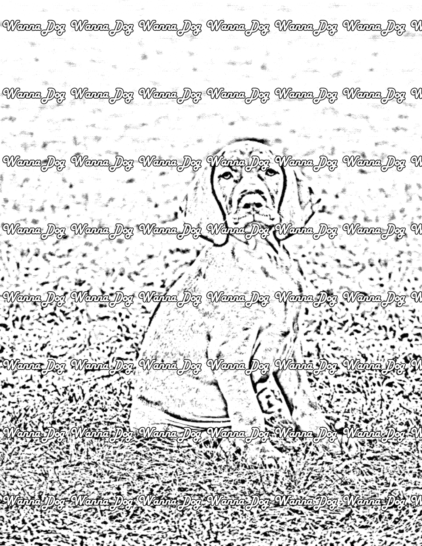 Vizsla Coloring Page of a Vizsla puppy sitting in grass