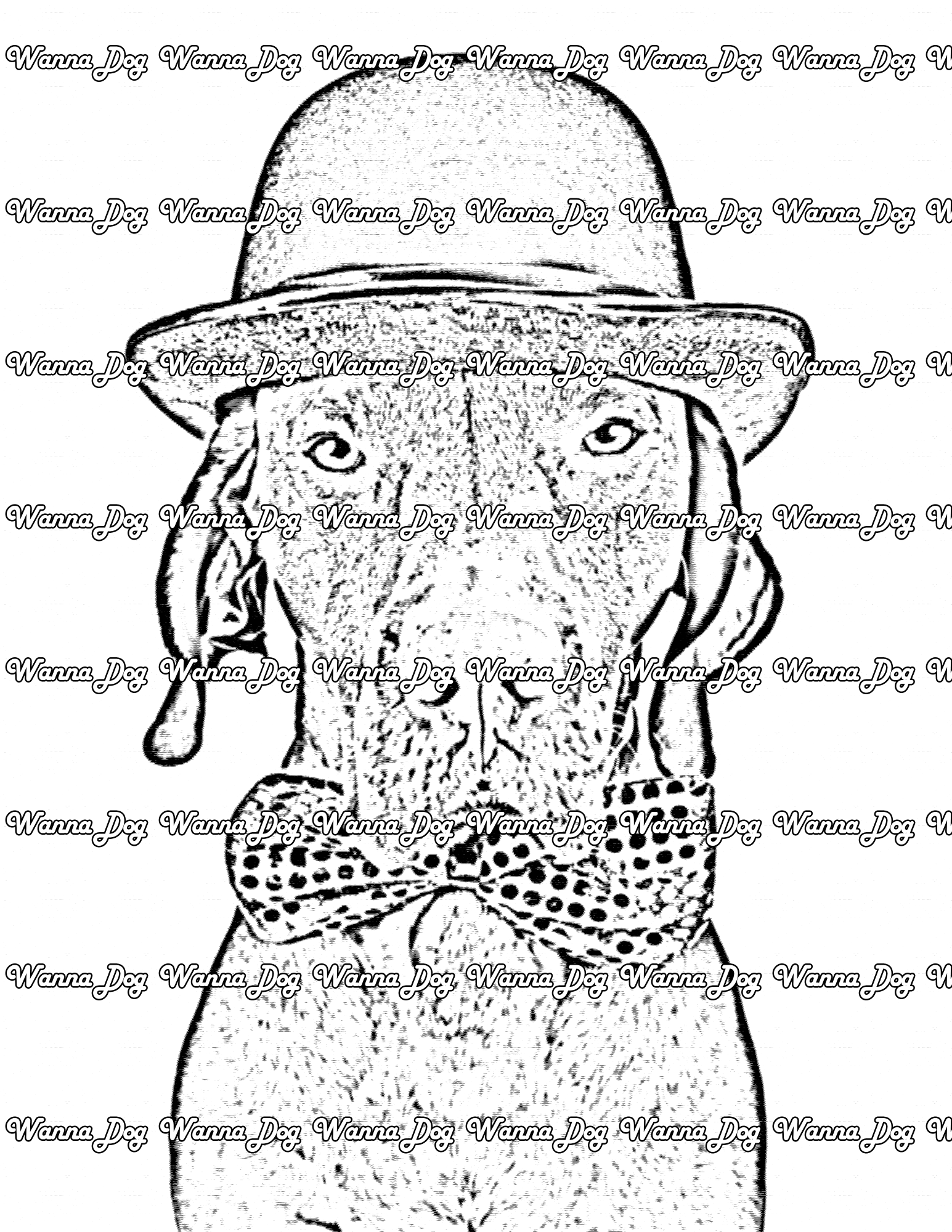 Vizsla Coloring Page of a Vizsla wearing a hat and bowtie