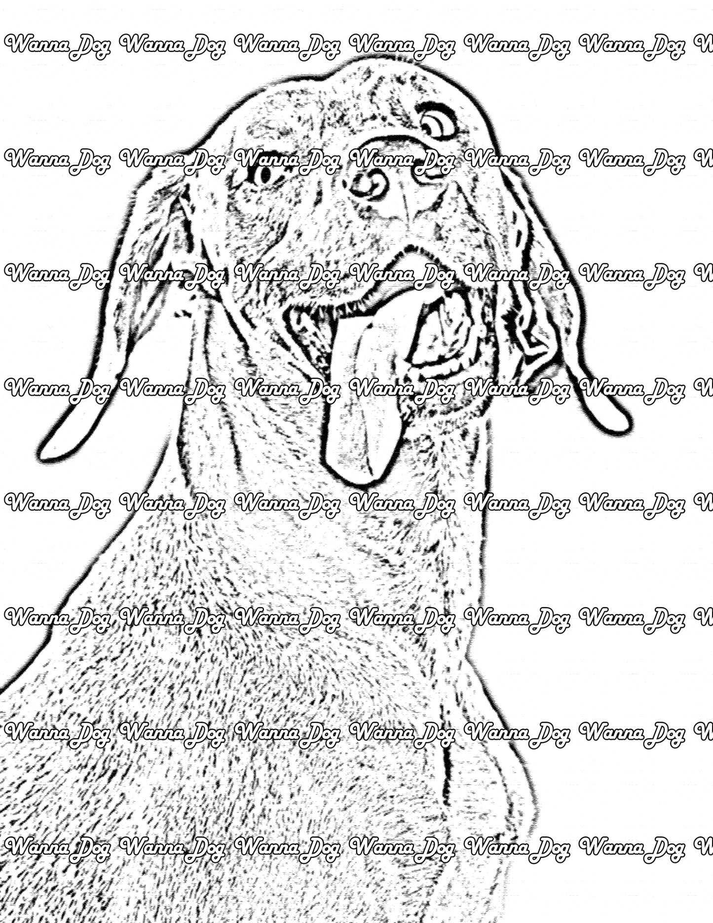 Weimaraner Coloring Page of a Weimaraner close up with their tongue out and looking silly