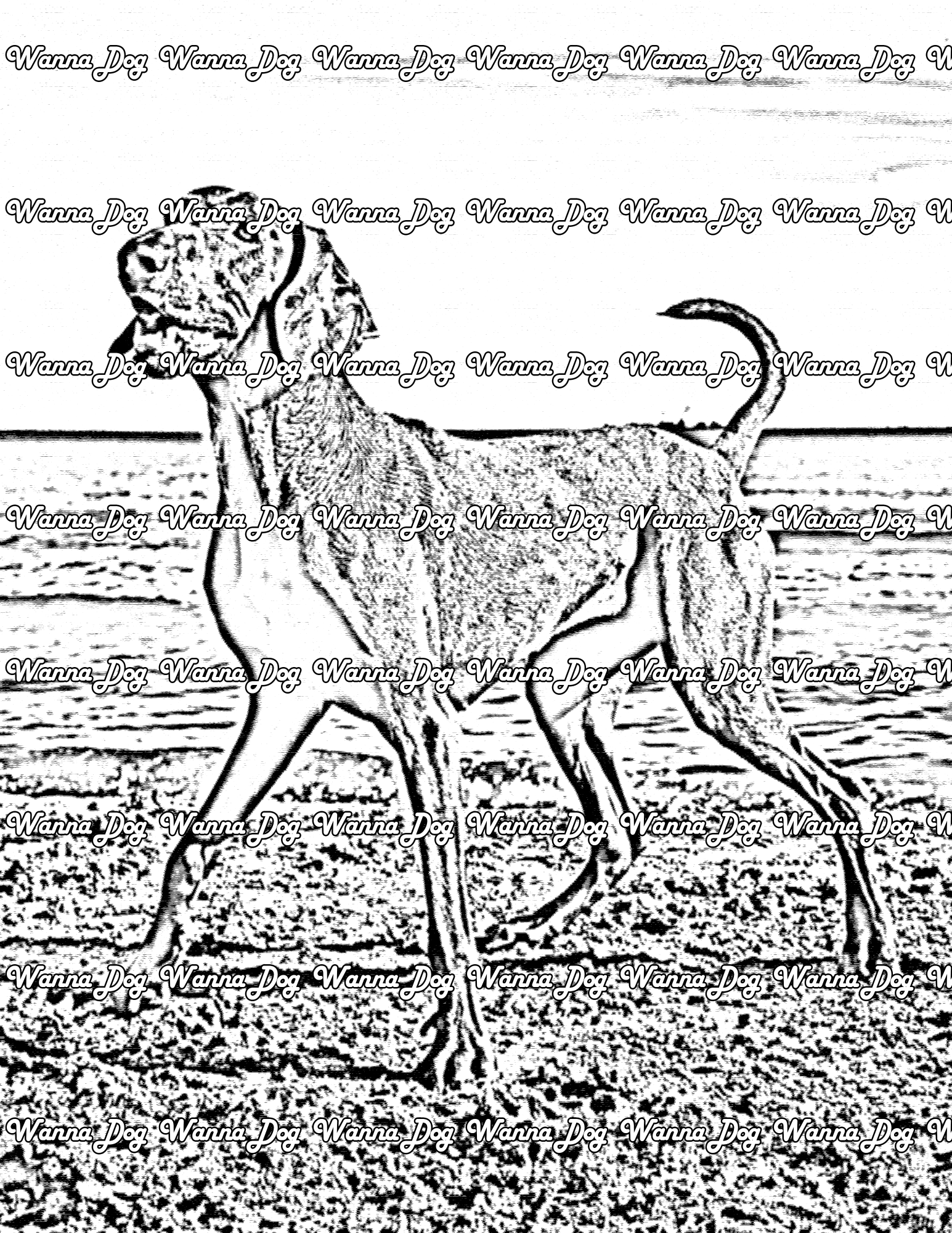 Weimaraner Coloring Page of a Weimaraner on the beach