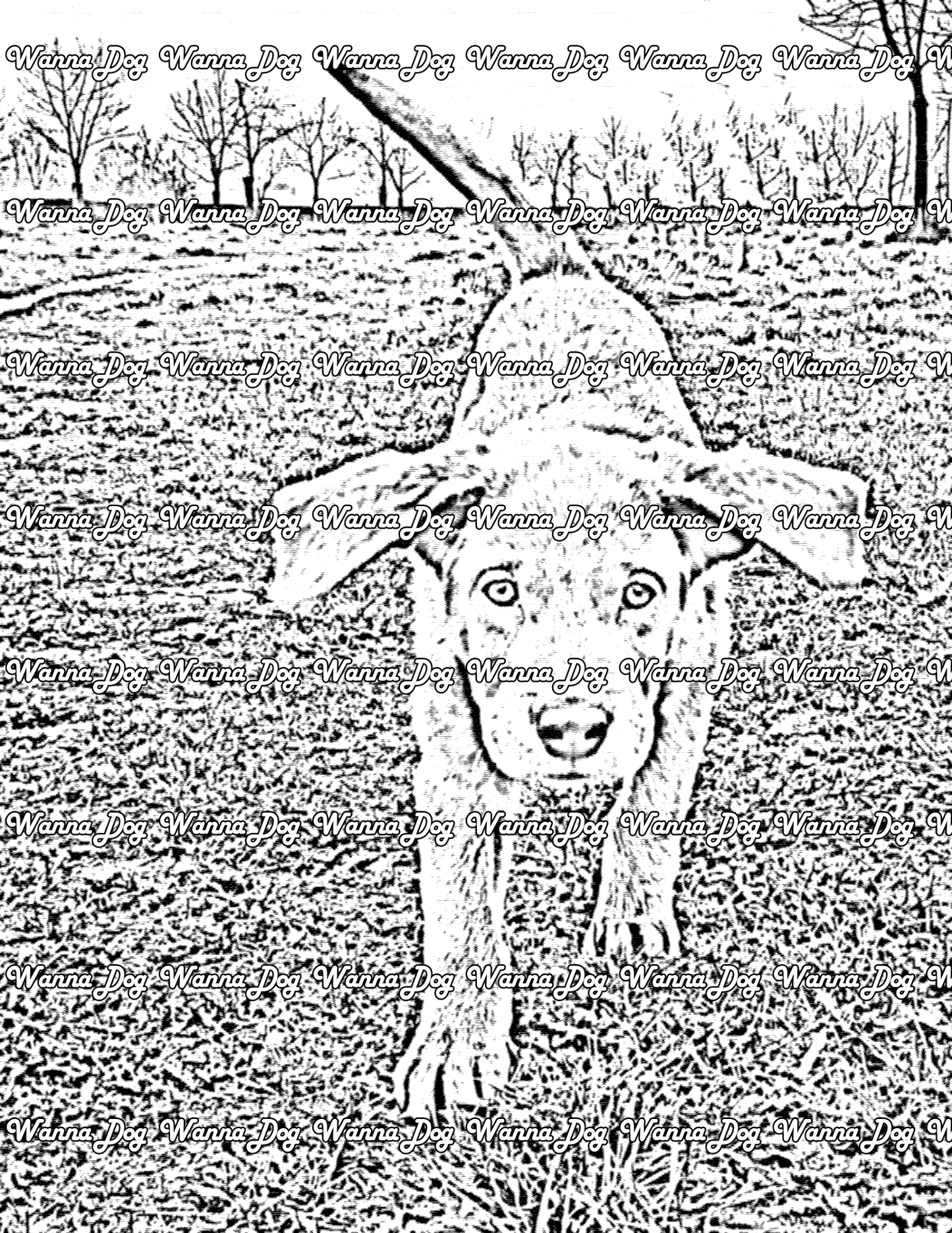 Weimaraner Coloring Page of a Weimaraner walking in a park