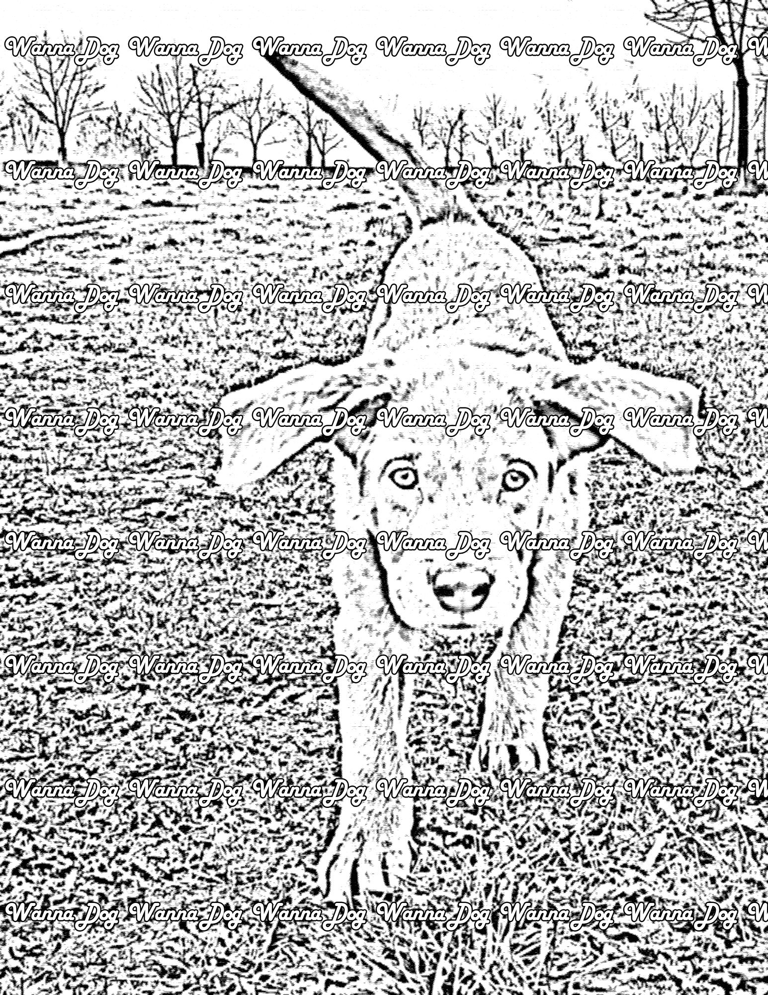Weimaraner Coloring Page of a Weimaraner walking in a park