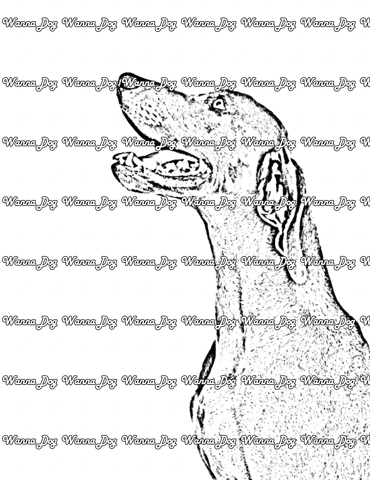 Weimaraner Coloring Page of a Weimaraner side view