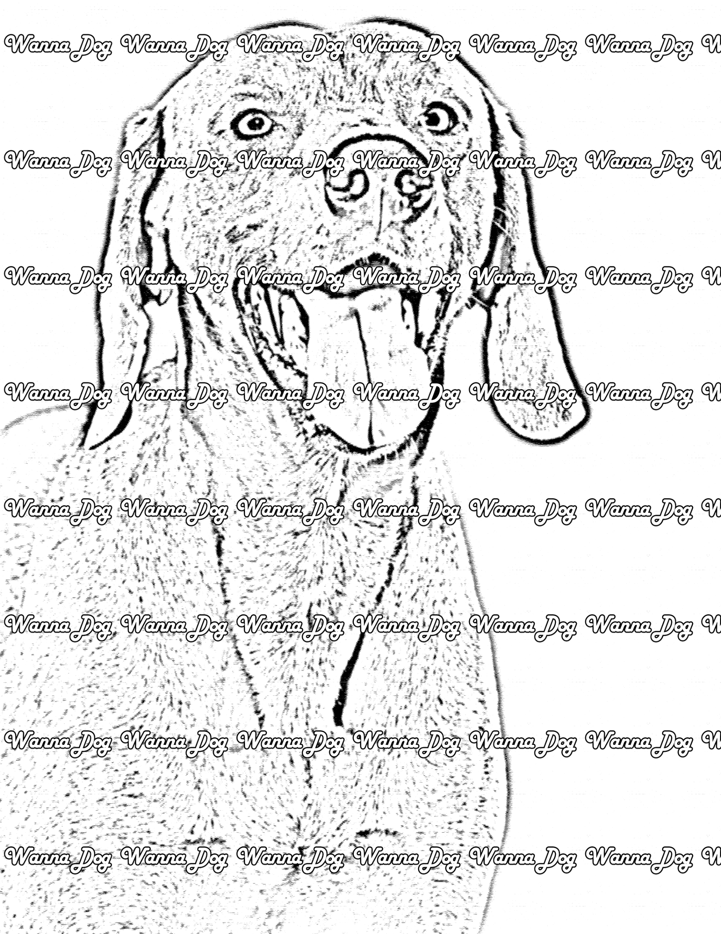 Weimaraner Coloring Page of a Weimaraner close up with their tongue out