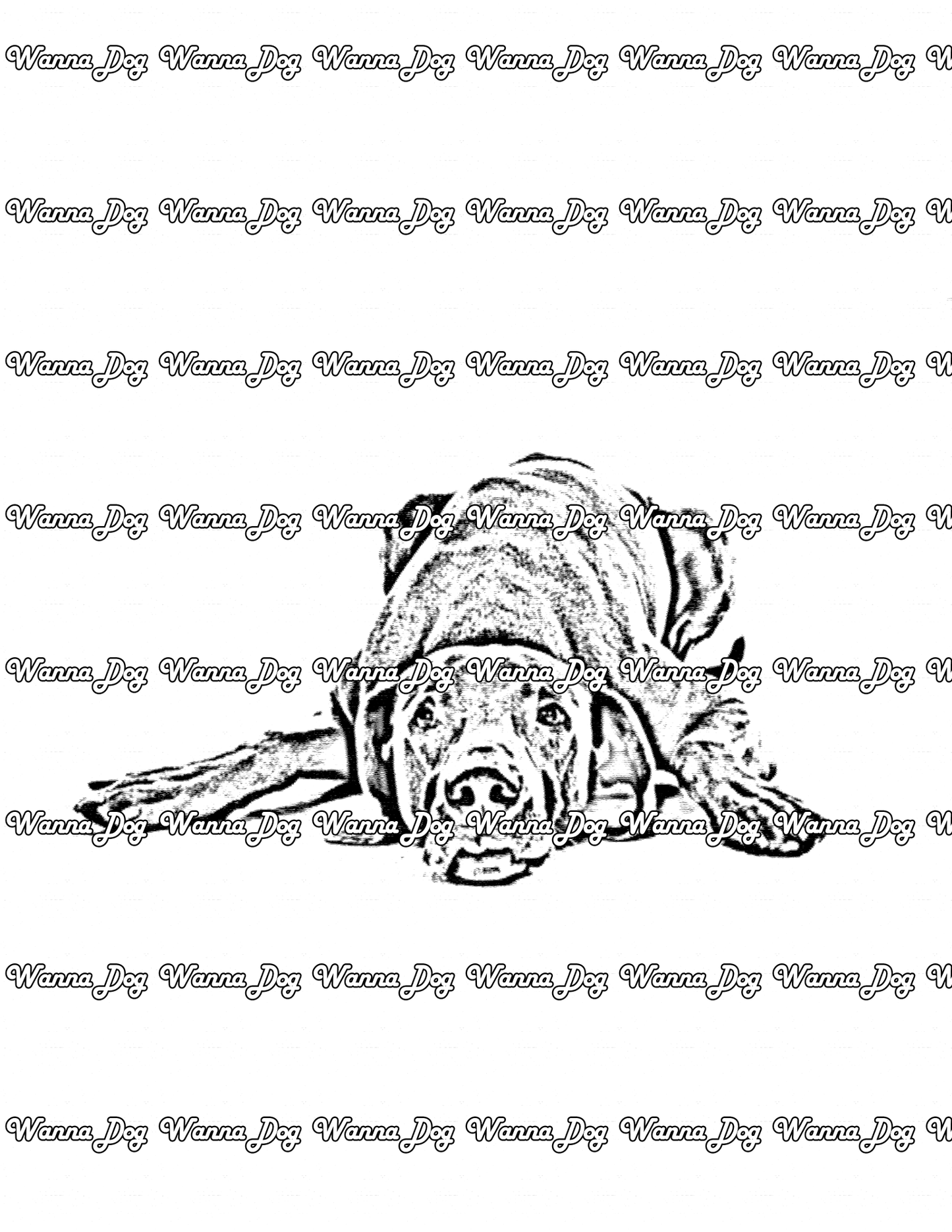 Weimaraner Coloring Page of a Weimaraner laying down
