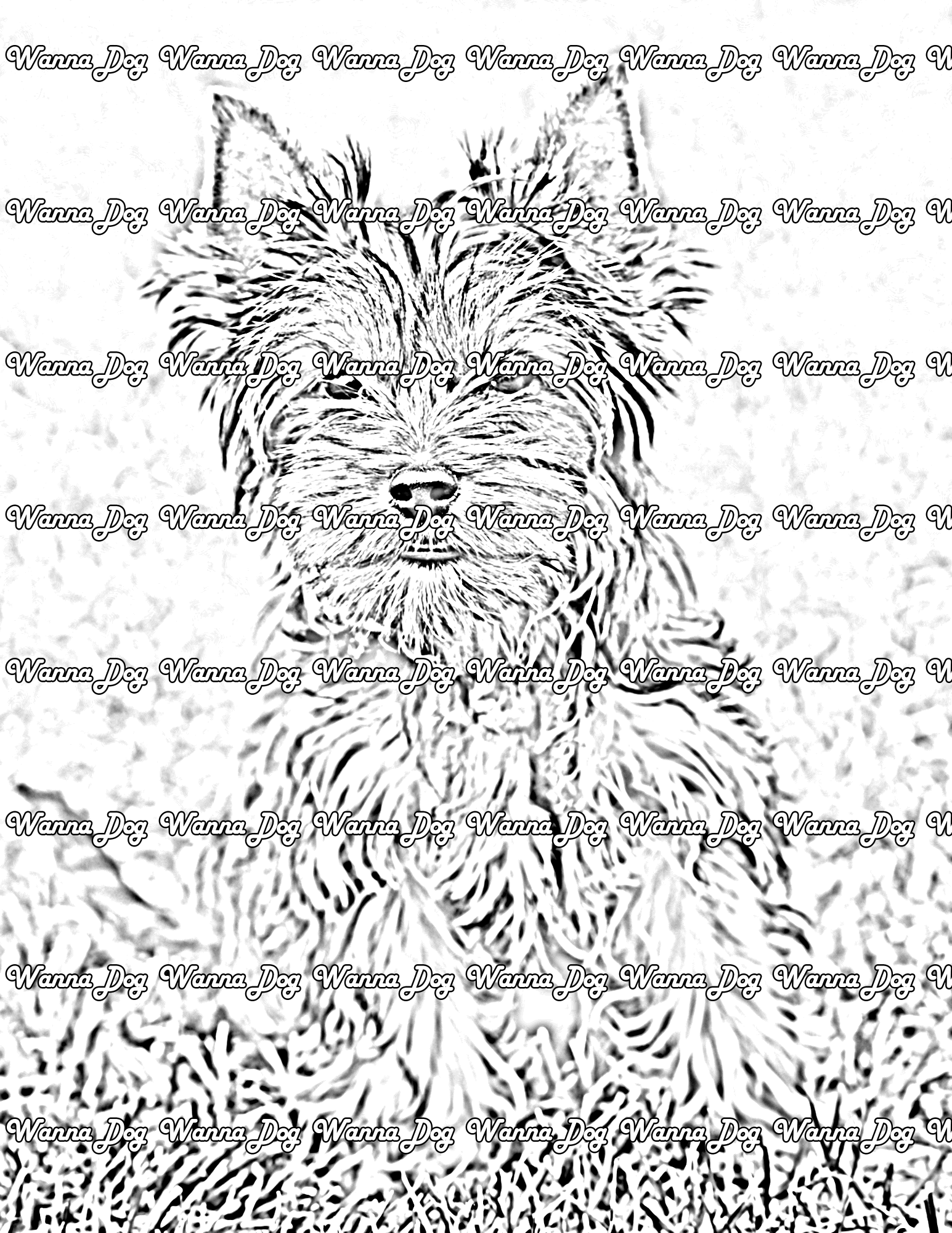 Yorkshire Terrier Coloring Pages of a Yorkshire Terrier sitting in the grass