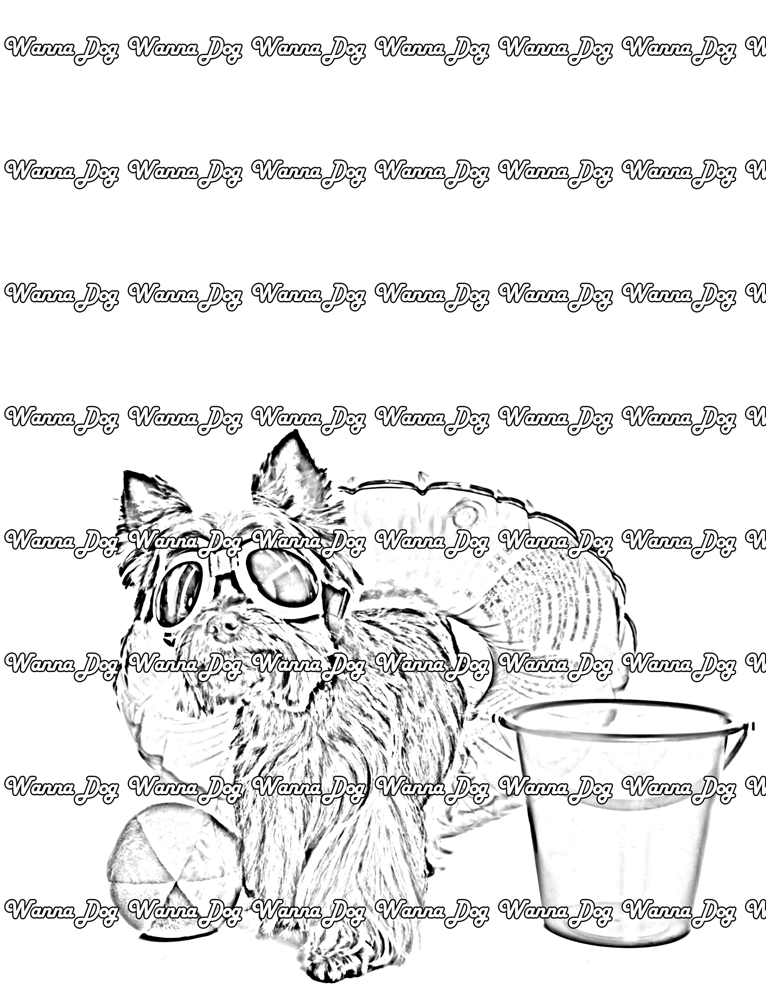 Yorkshire Terrier Coloring Pages of a Yorkshire Terrier ready for the beach