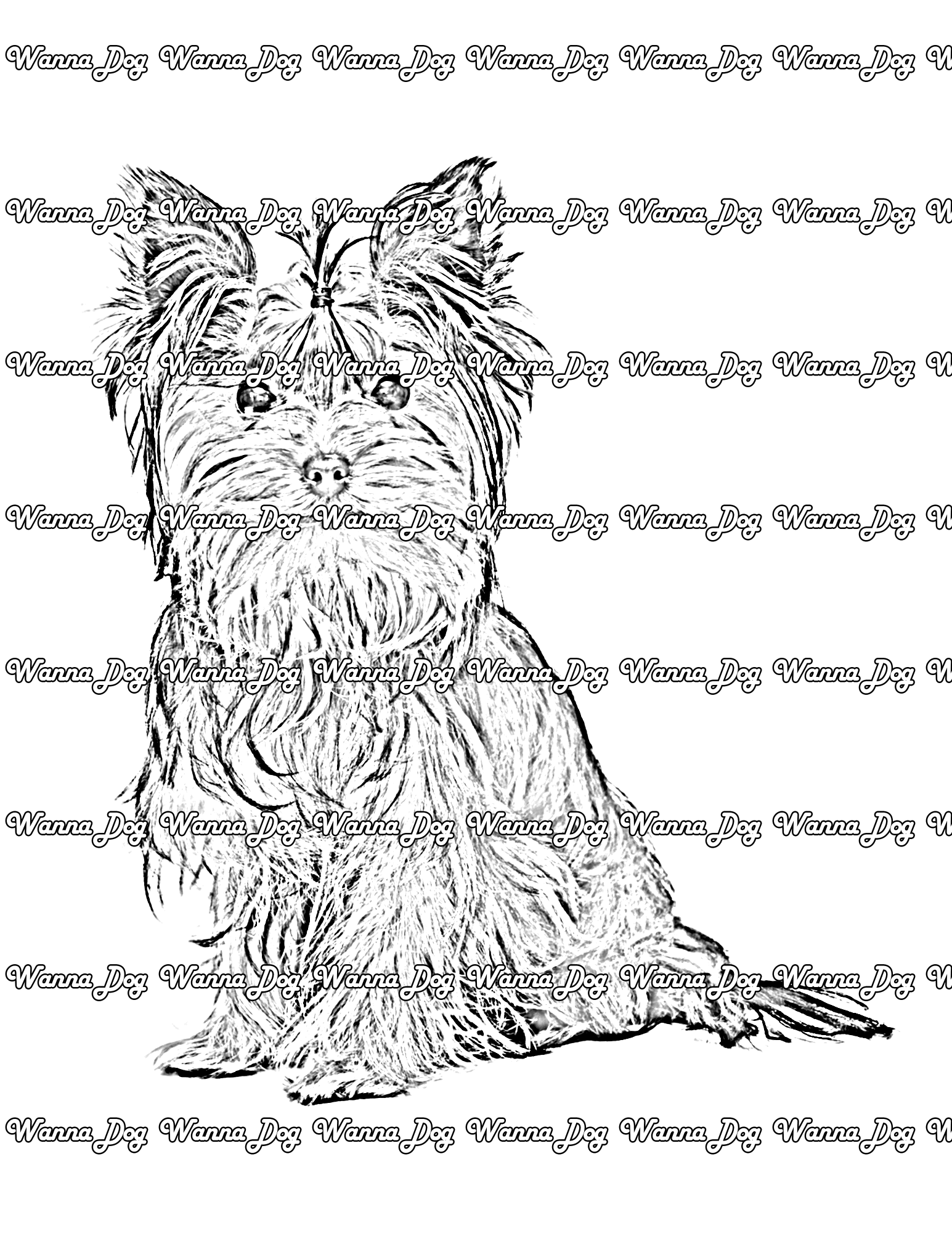 Yorkshire Terrier Coloring Pages of a Yorkshire Terrier waiting for a treat