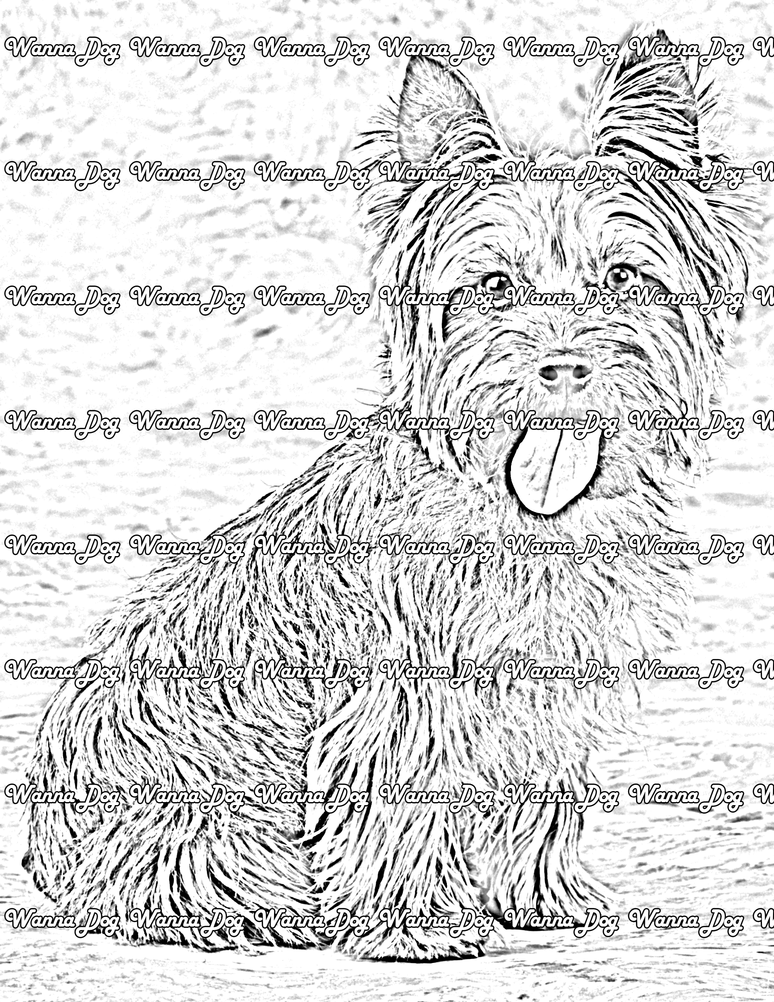 Yorkshire Terrier Coloring Pages of a Yorkshire Terrier smiling